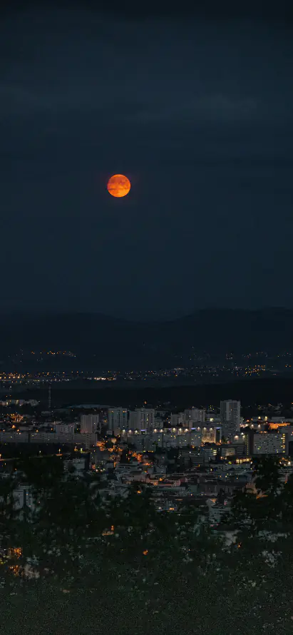 4k城市壁纸 - 夜景 - 夜空 - 植被「哲风壁纸」