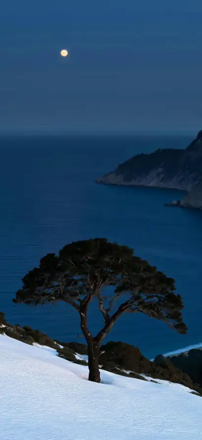 4k夜景壁纸 - 夜空 - 孤树 - 山峦「哲风壁纸」