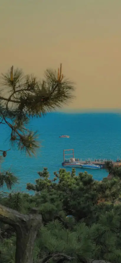 4k山林壁纸 - 松枝 - 海洋 - 渡轮「哲风壁纸」