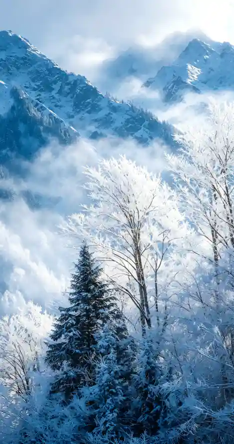 4k云雾壁纸 - 山林 - 手机 - 雪山「哲风壁纸」