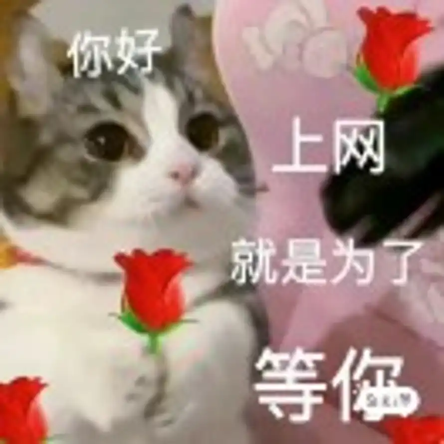 用户苏的头像
