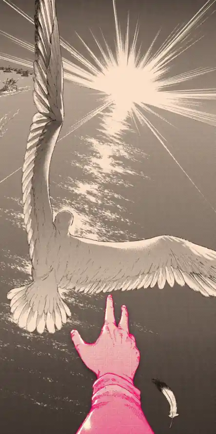 4k伸手壁纸 - 插画 - 白鸽 - 羽毛「哲风壁纸」