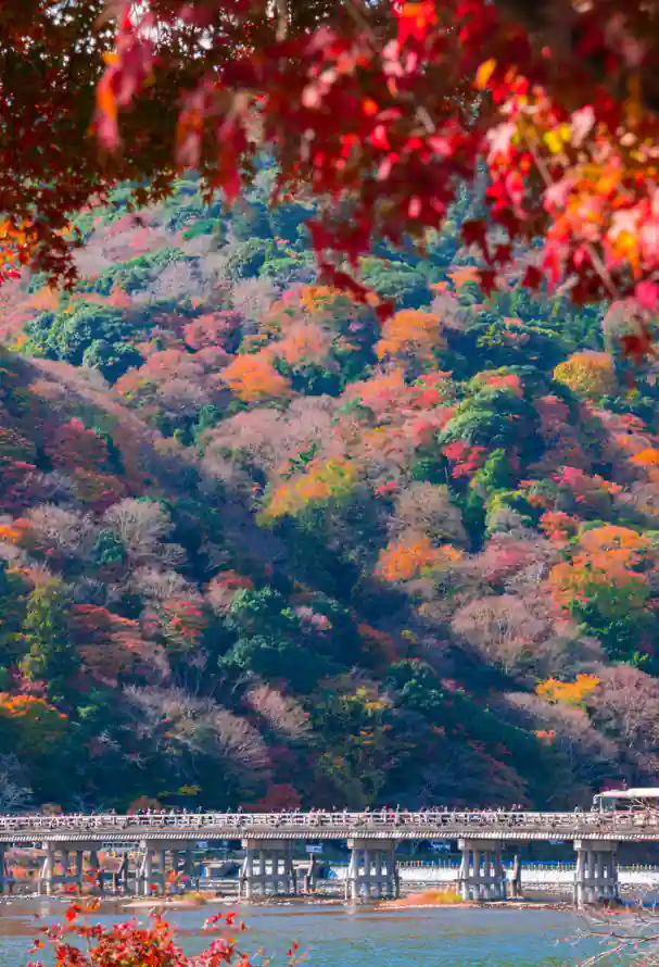 4k京都壁纸 - 山林 - 日本 - 河流「哲风壁纸」