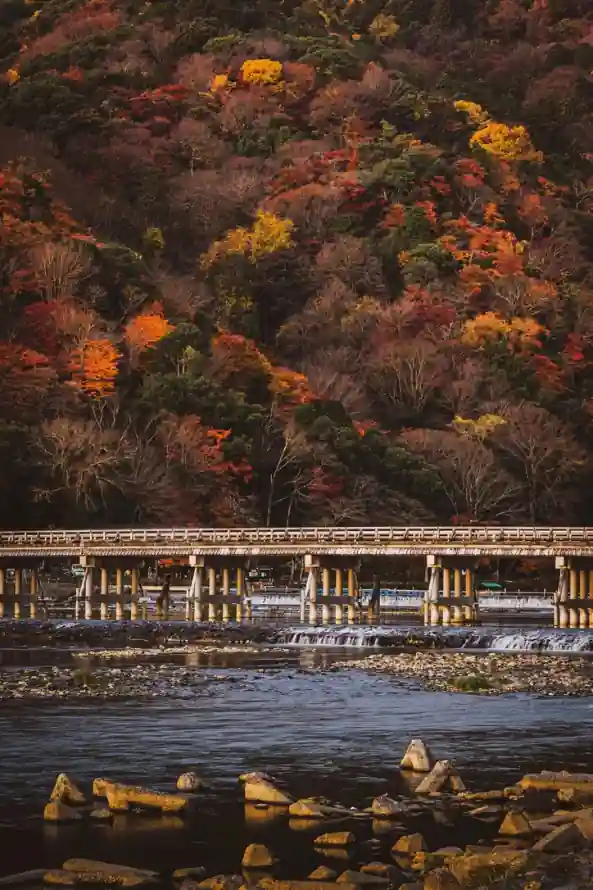 4k京都壁纸 - 山林 - 岚山 - 日本「哲风壁纸」