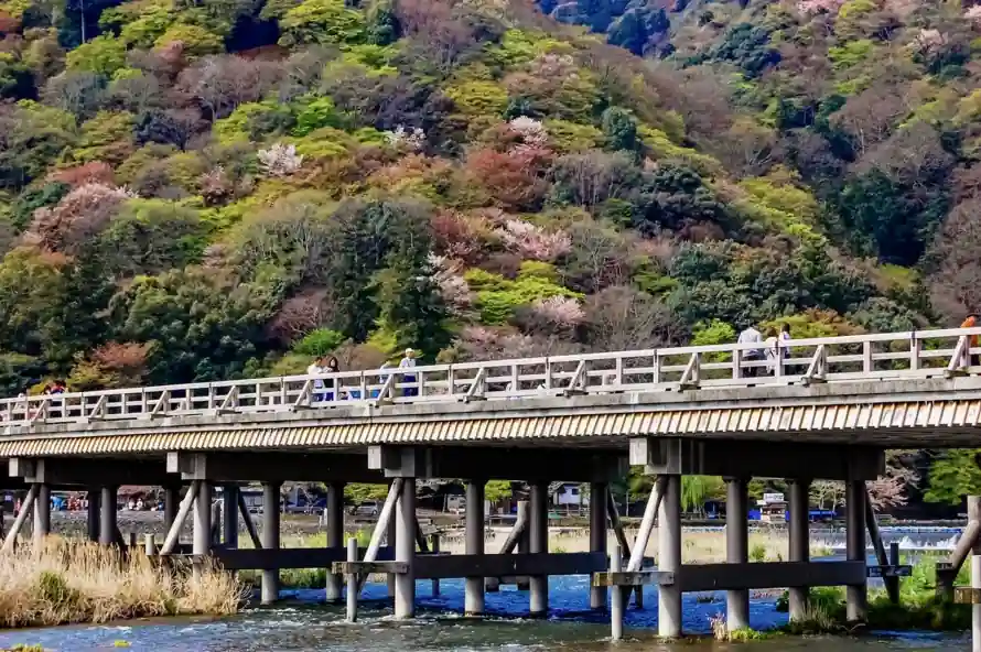 4k京都壁纸 - 山林 - 岚山 - 日本「哲风壁纸」 4k京都壁纸 - 山林 - 岚山 - 日本「哲风壁纸」