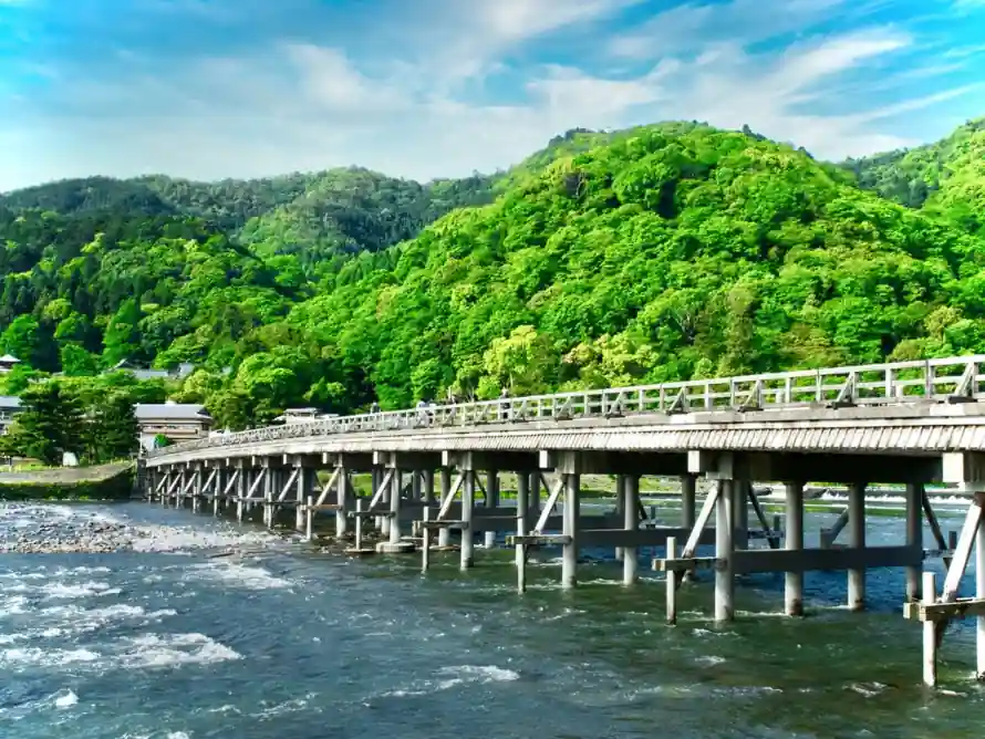 4k京都壁纸 - 山林 - 岚山 - 日本「哲风壁纸」 4k京都壁纸 - 山林 - 岚山 - 日本「哲风壁纸」