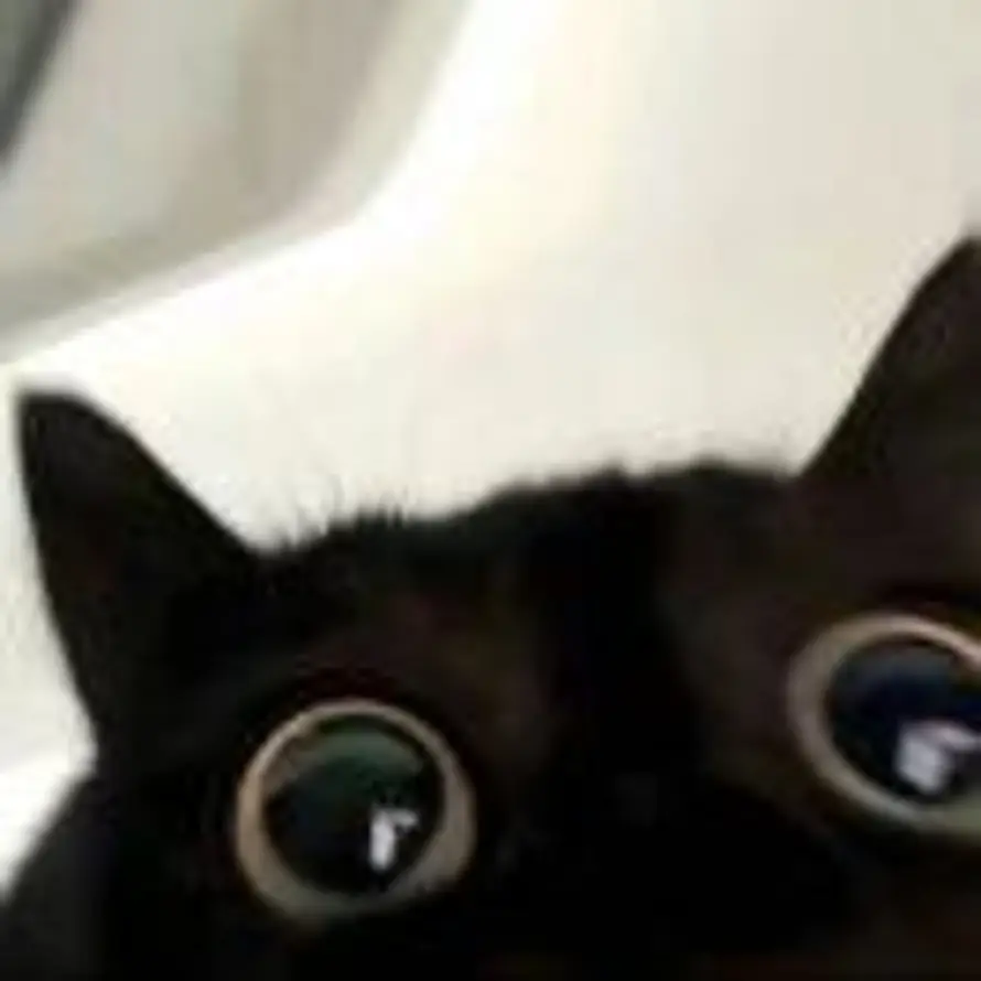 ᯤ⁶ᴳ的头像