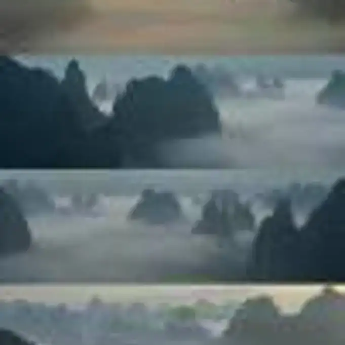 為为的头像