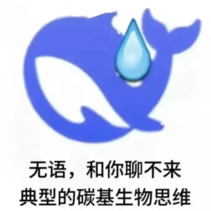 皮皮浩的头像