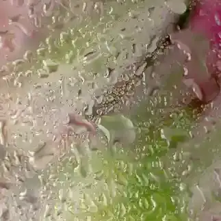 用户AK777的头像