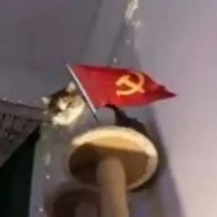 恐惊天上人的头像