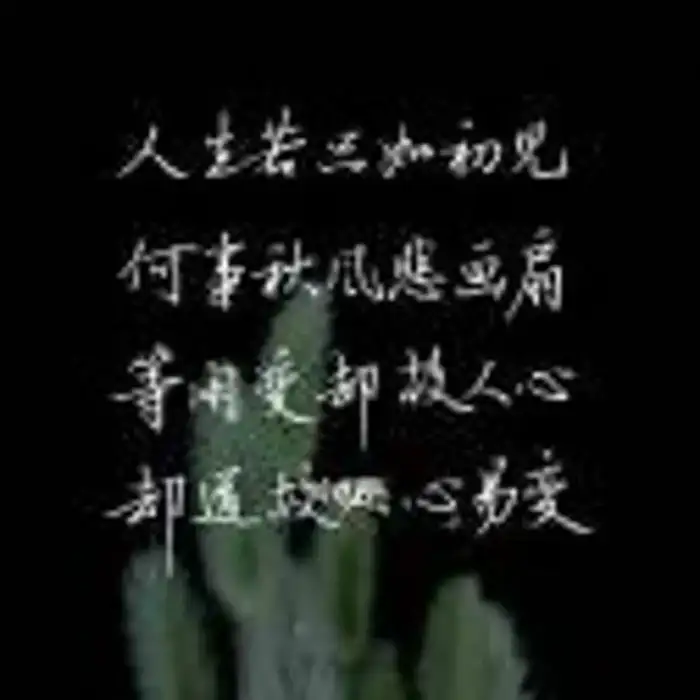 Divine Love Peaceヽ☄的头像