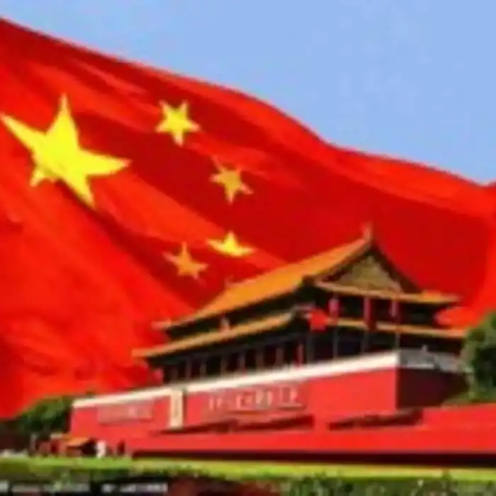 大兵东东的头像