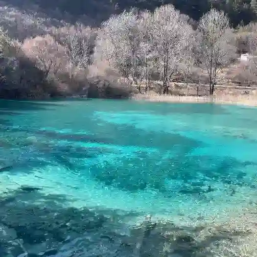 陳秉澤的头像