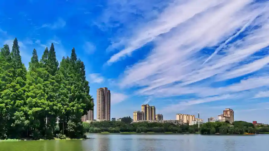 4k湖景壁纸 - 湖泊 - 水杉林 - 城市建筑「哲风壁纸」 4k湖景壁纸 - 湖泊 - 水杉林 - 城市建筑「哲风壁纸」