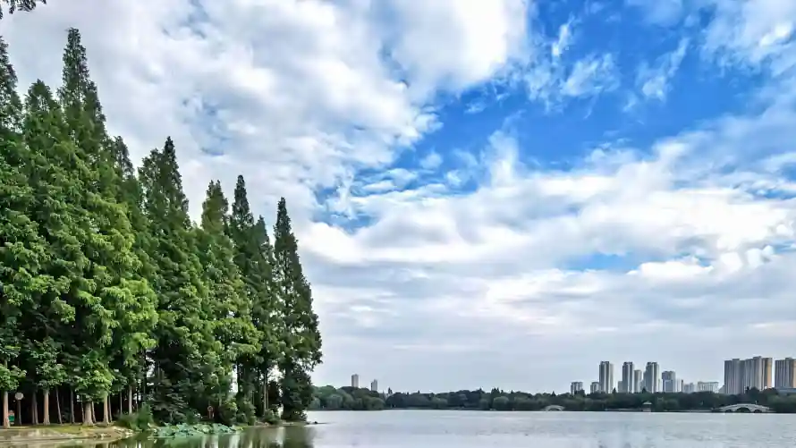 4k树林壁纸 - 湖景 - 湖泊 - 湖畔「哲风壁纸」 4k树林壁纸 - 湖景 - 湖泊 - 湖畔「哲风壁纸」