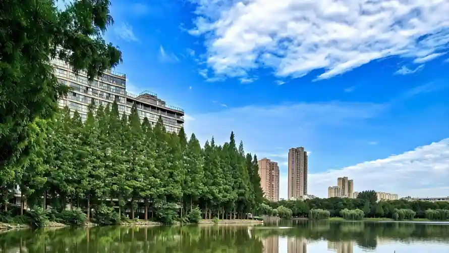 2k倒影壁纸-树林 - 湖景-湖泊「哲风壁纸」