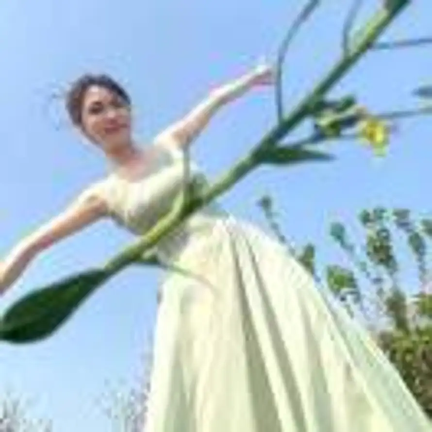 宝的头像
