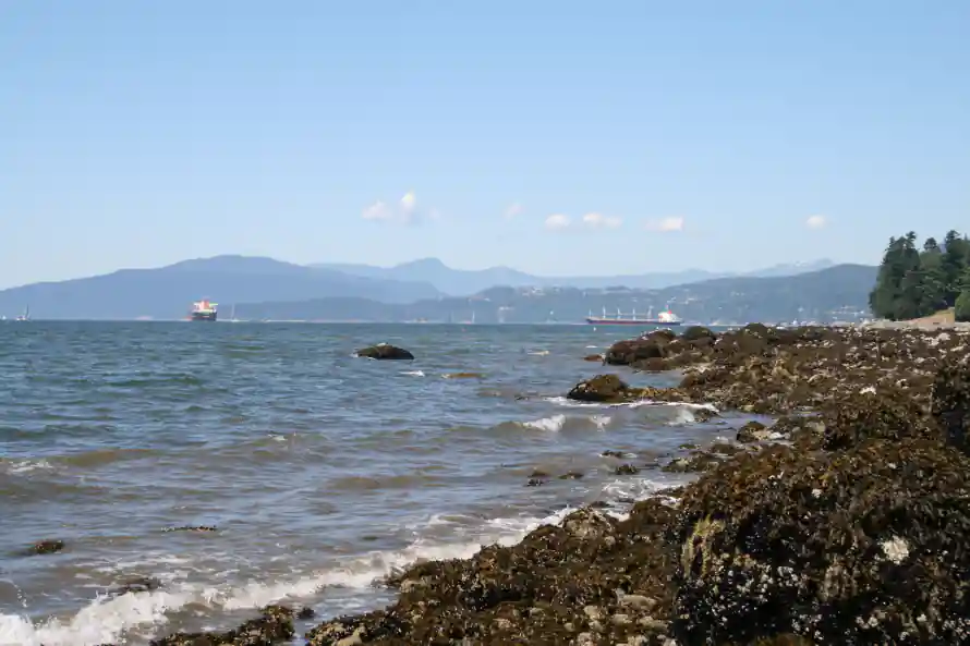 4k晴空壁纸-海浪 - 海滩-海面「哲风壁纸」