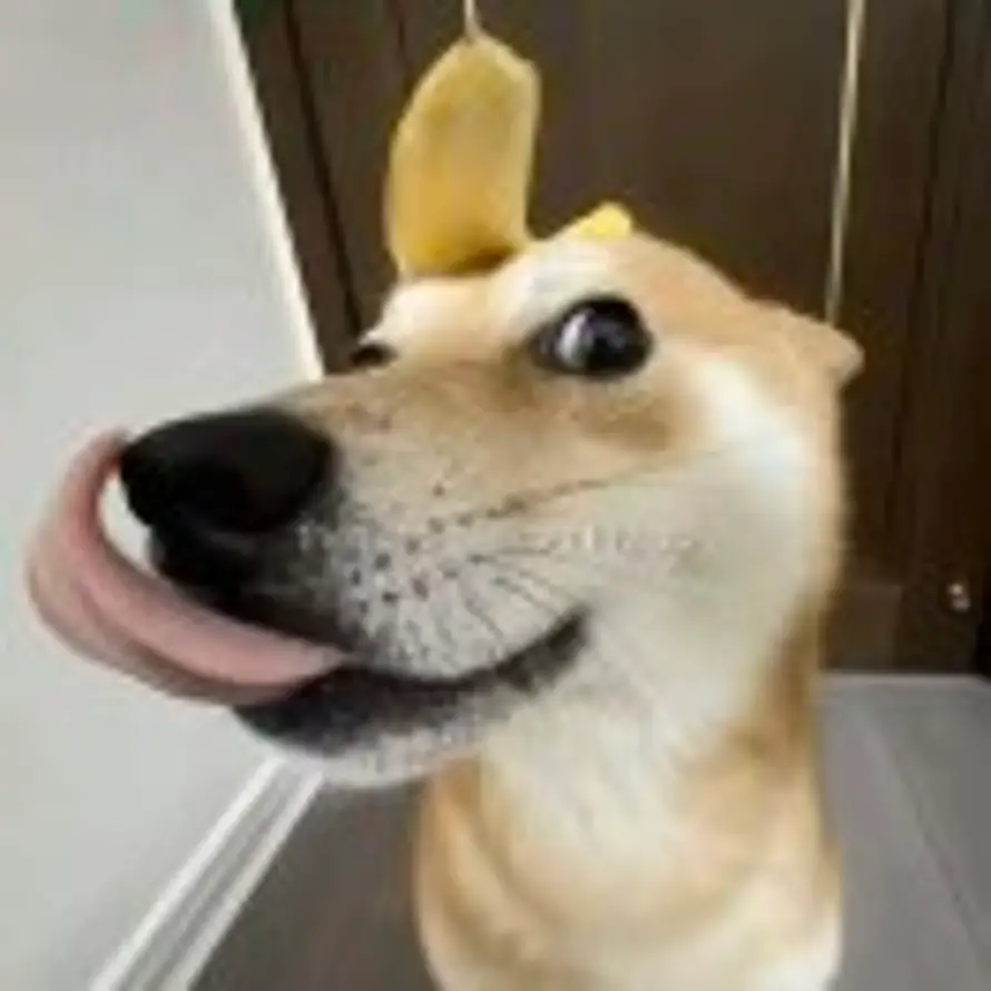 勿东的头像