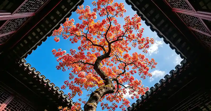 4k蓝天壁纸 - 壁纸 - 庭院 - 秋日「哲风壁纸」