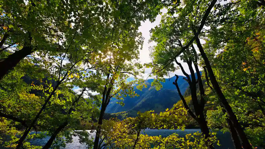 2k山林壁纸-林间 - 湖泊-蓝天「哲风壁纸」