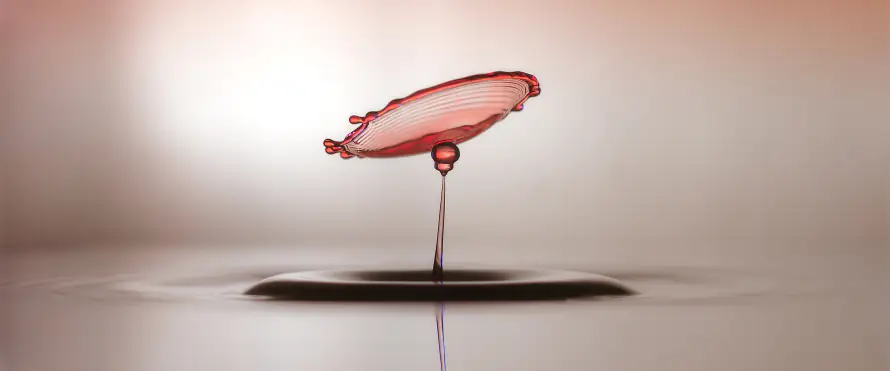4k极简壁纸-水滴 - 特写-粉色「哲风壁纸」
