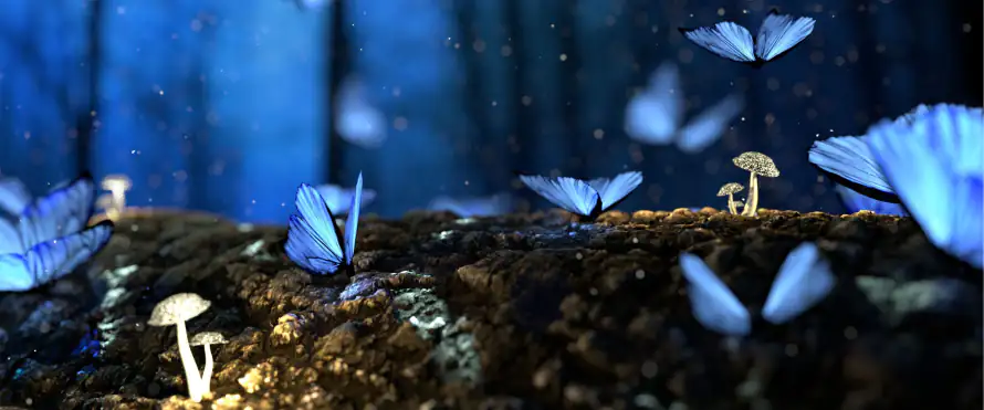 4k林间壁纸-蘑菇 - 奇幻场景-宽屏壁纸「哲风壁纸」