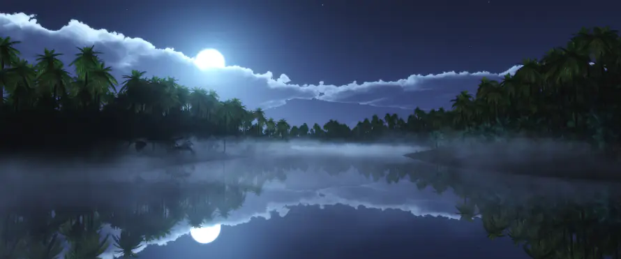 4k夜景壁纸 - 夜空 - 月夜 - 树林「哲风壁纸」
