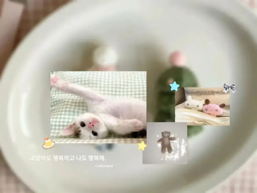 2k可爱壁纸-小猫 - 拼贴-软萌「哲风壁纸」
