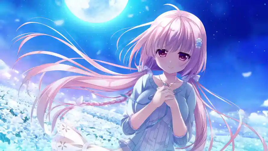 4k星空壁纸-莲 - 月夜-满月「哲风壁纸」