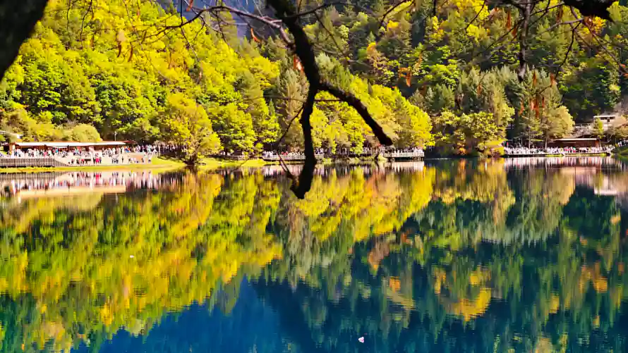 2k山林壁纸-湖景 - 湖泊-秋景「哲风壁纸」