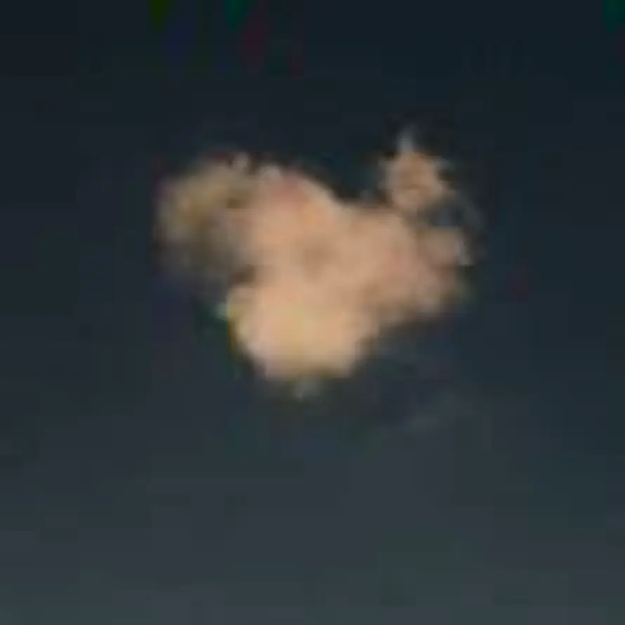 尧的头像