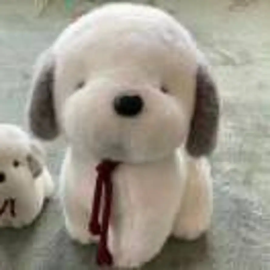 xiaoxiao的头像
