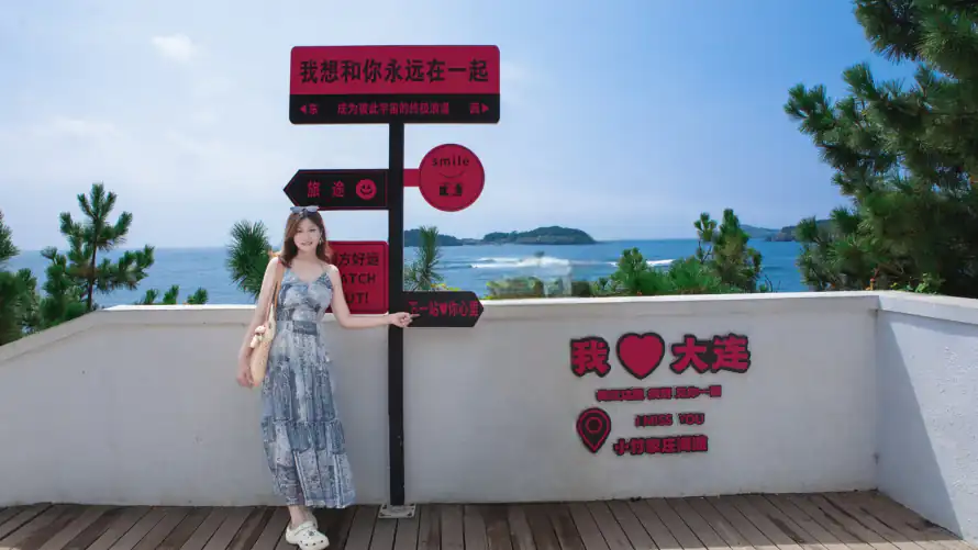 4k大连壁纸-松树 - 海景-海边「哲风壁纸」