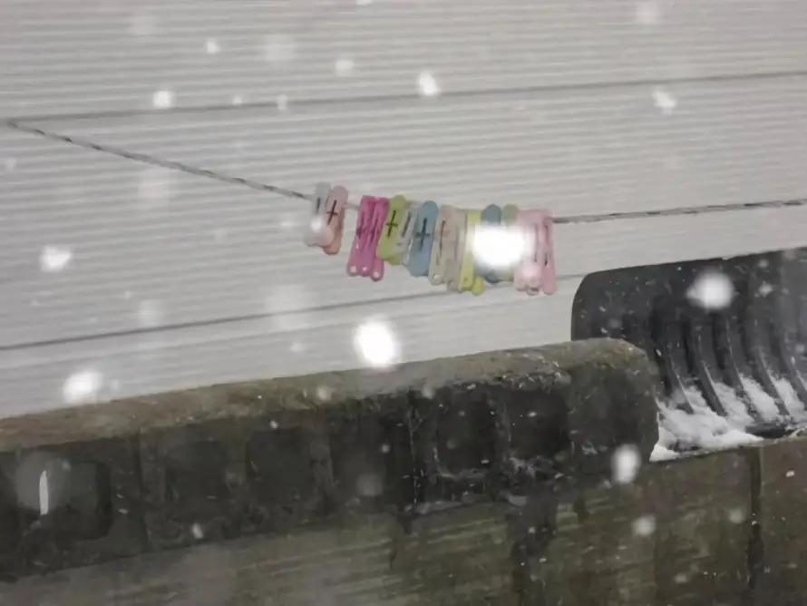 3k冬日壁纸-夹子 - 日常-落雪「哲风壁纸」