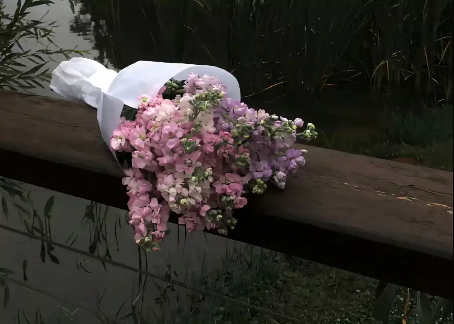 3k户外壁纸-水边 - 自然-花卉「哲风壁纸」
