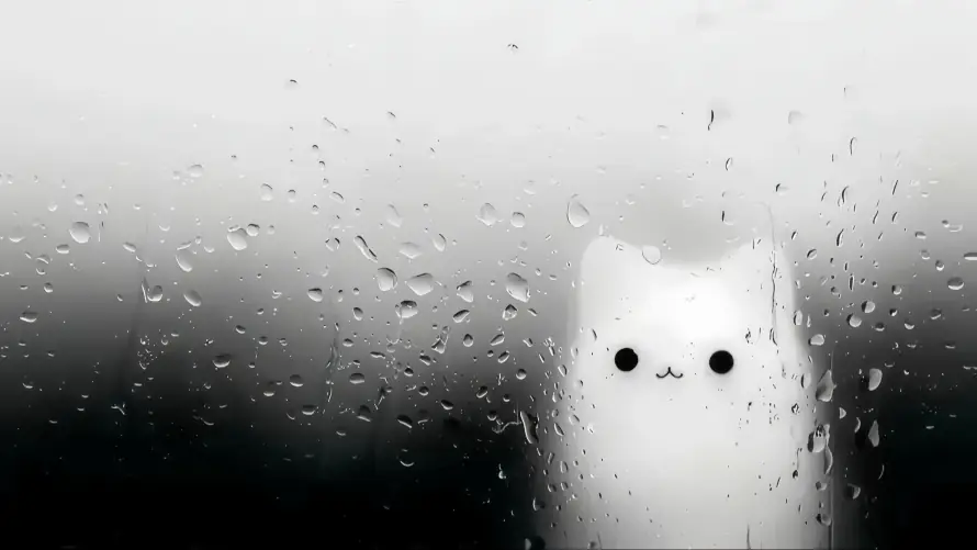 4k下雨壁纸-猫 - 可爱-极简「哲风壁纸」