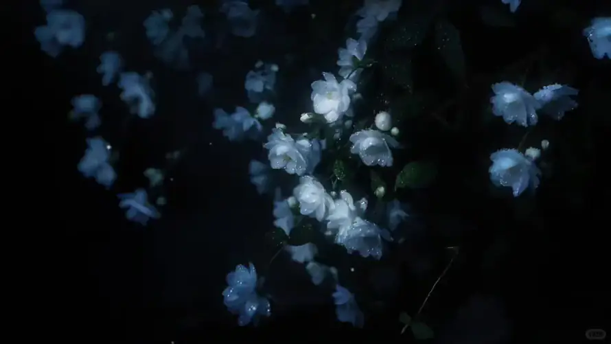 2k壁纸壁纸-暗夜 - 暗调-朦胧「哲风壁纸」