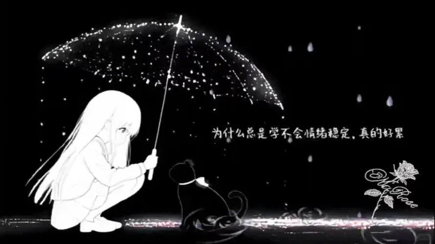 2k壁纸壁纸-玫瑰 - 蹲坐-雨夜「哲风壁纸」