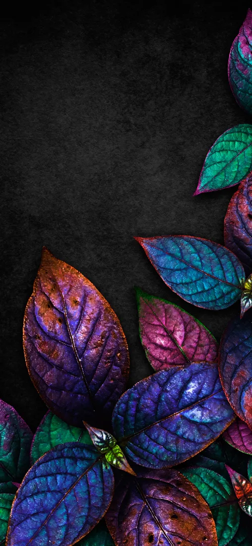 幻彩叶片手机壁纸|深色背景下的彩叶图片 - 梦幻质感「哲风壁纸」 幻彩叶片手机壁纸|深色背景下的彩叶图片 - 梦幻质感「哲风壁纸」