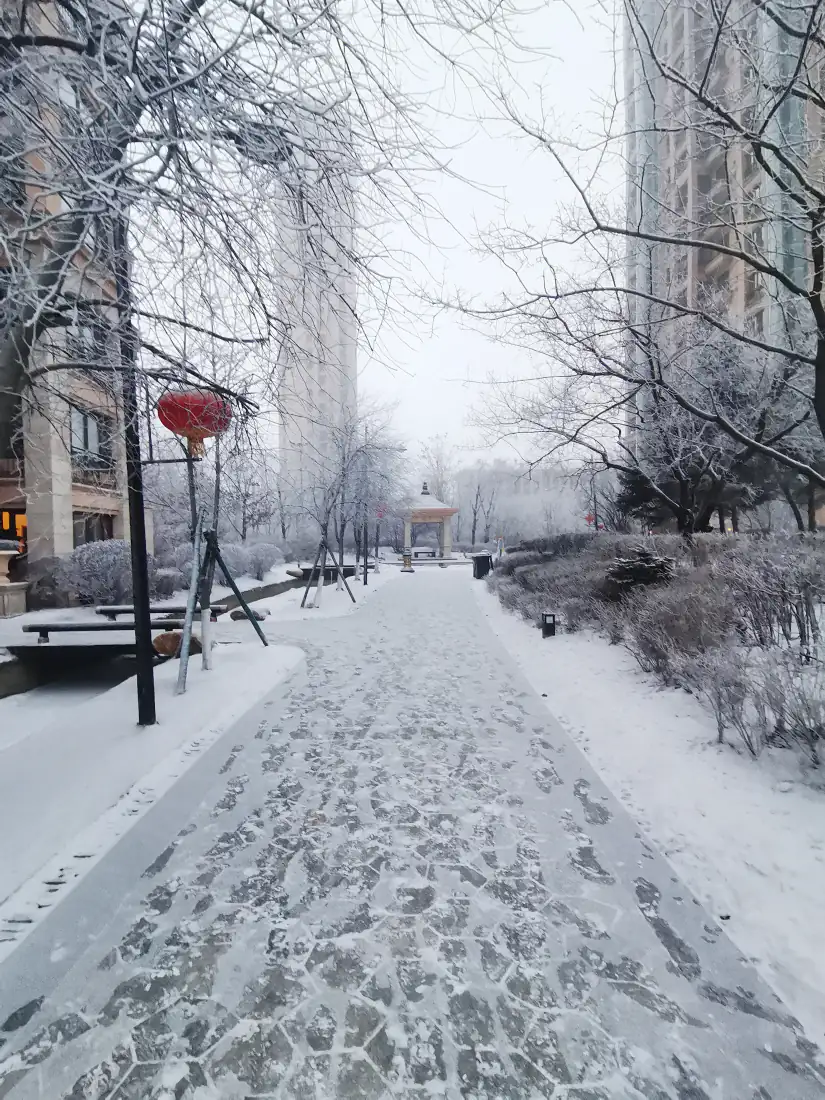 雪后小区步道手机壁纸|雾凇雪景小路背景图片 - 冬日静谧「哲风壁纸」 雪后小区步道手机壁纸|雾凇雪景小路背景图片 - 冬日静谧「哲风壁纸」