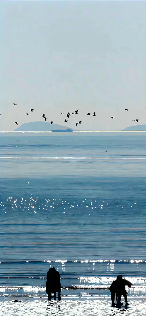 海边蓝天壁纸|海鸟飞翔的海边风景背景图片「哲风壁纸」 海边蓝天壁纸|海鸟飞翔的海边风景背景图片「哲风壁纸」