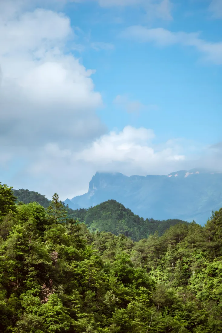 天空山林手机壁纸|自然风景背景图片 - 清新「哲风壁纸」 天空山林手机壁纸|自然风景背景图片 - 清新「哲风壁纸」