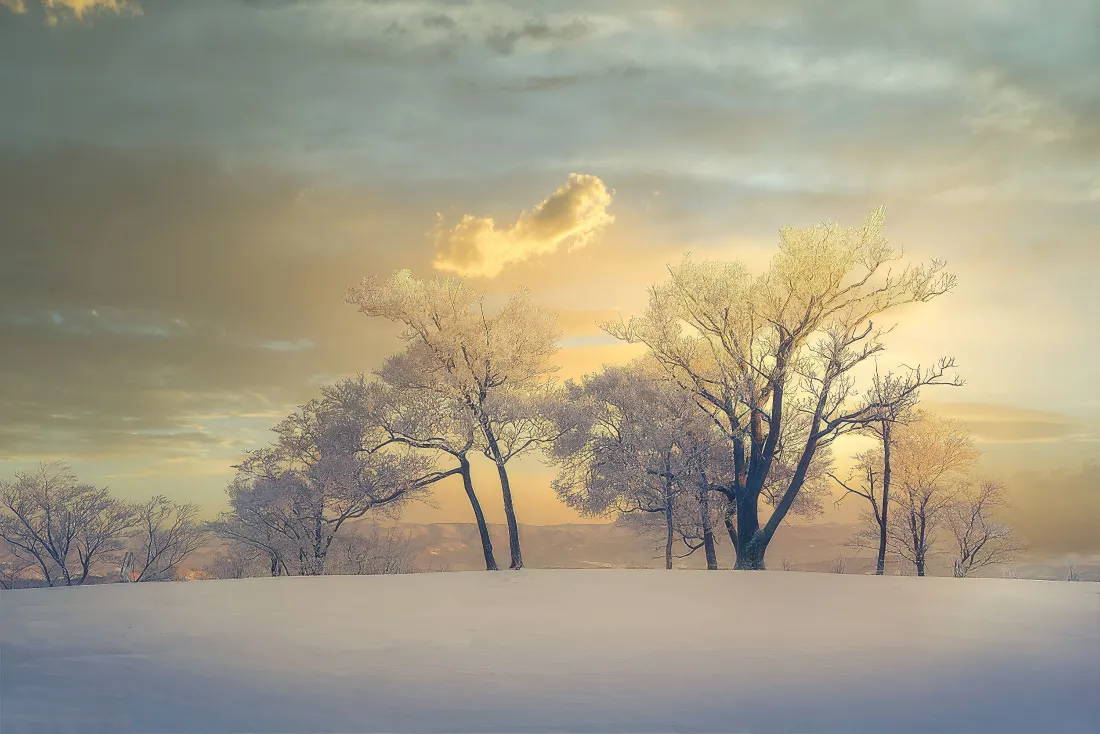 4k落日雪景壁纸|冬日背景图片 - 高清「哲风壁纸」 4k落日雪景壁纸|冬日背景图片 - 高清「哲风壁纸」