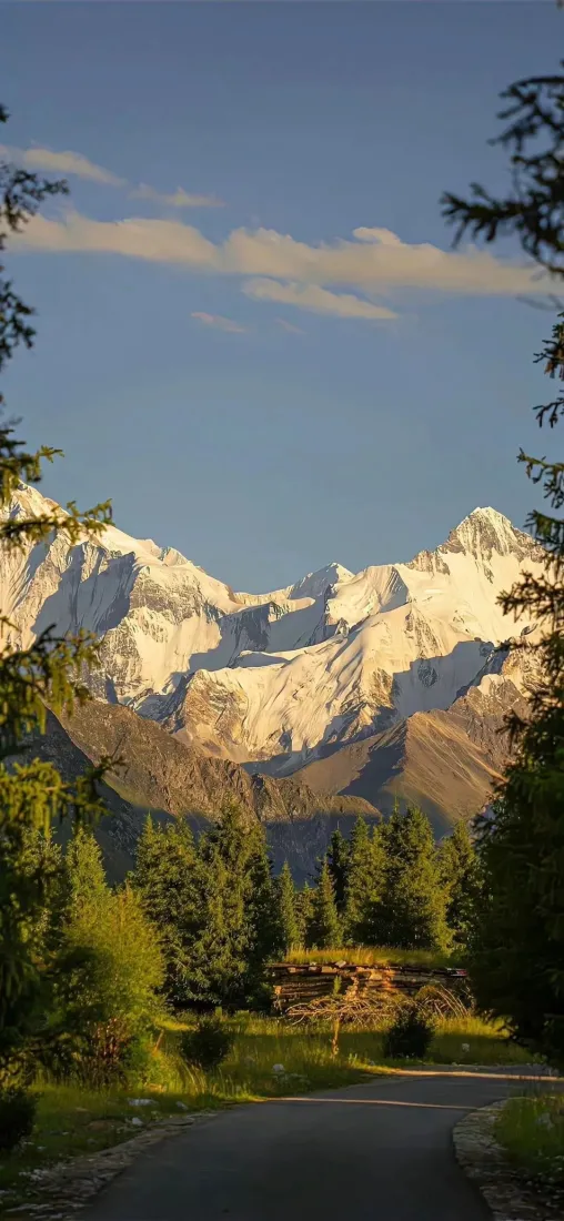 前景林间公路延伸向远方，中景是针叶林，背景是日照金山的雪山与蓝天。