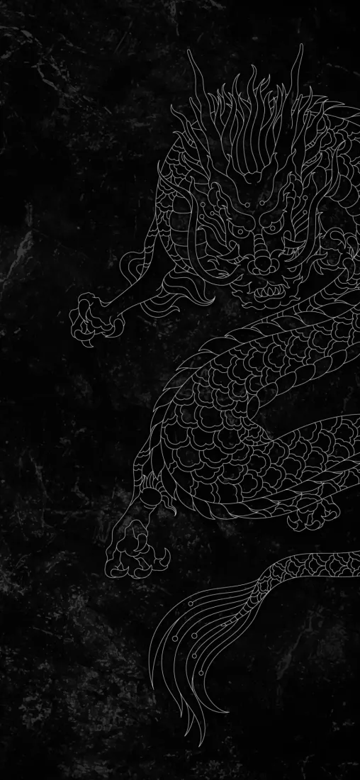 黑色斑驳背景上，浅灰色线条勾勒的东方龙盘踞画面右侧