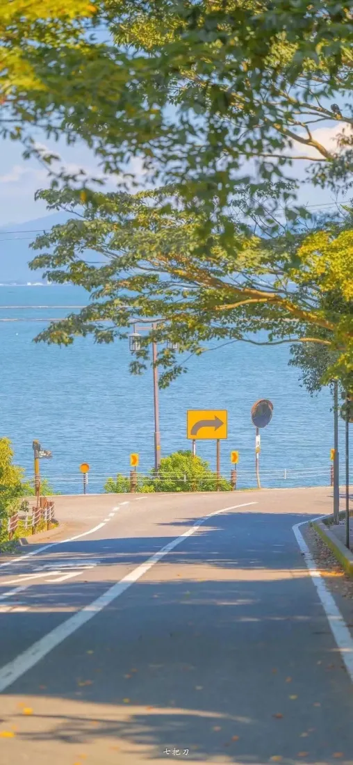 晴朗白日下的临海公路，路面树影斑驳，远处是澄澈蓝海与葱郁绿树。