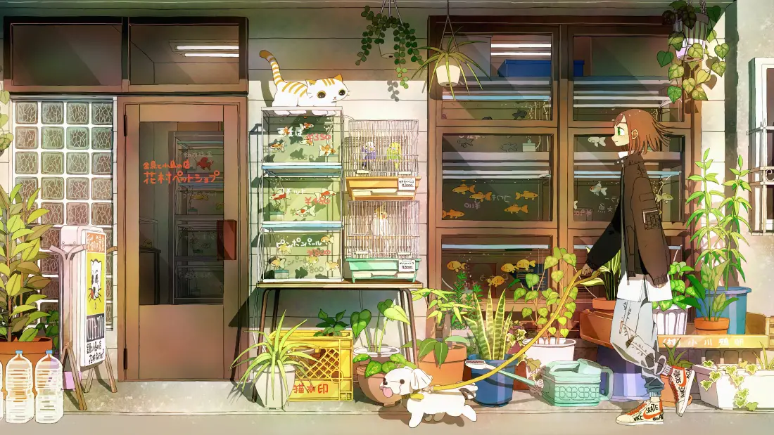 4k安逸风景壁纸｜植物店铺背景图片 - 女孩「哲风壁纸」