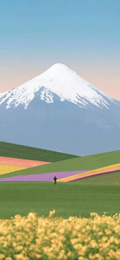 极简主义富士山手机手机壁纸 - 花海背景图片「哲风壁纸」